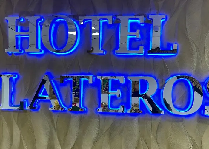 Hotel Plateros *